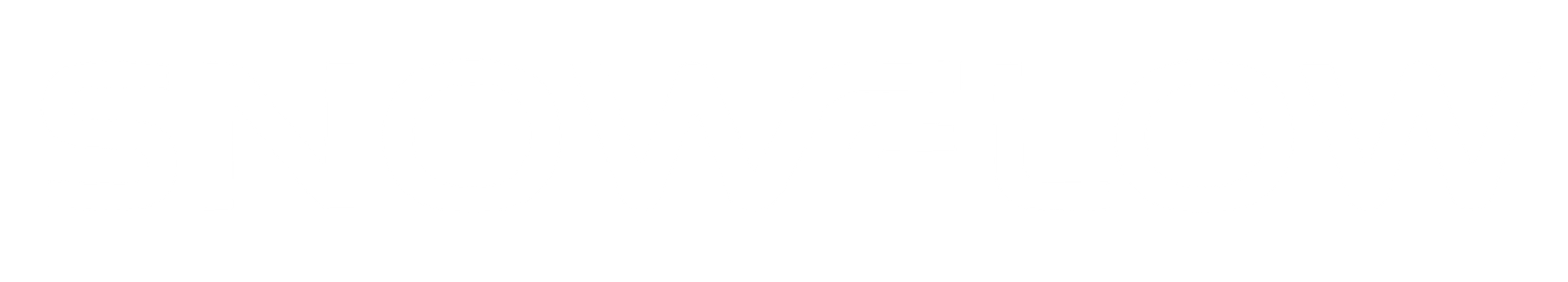Snowflow Logo-03